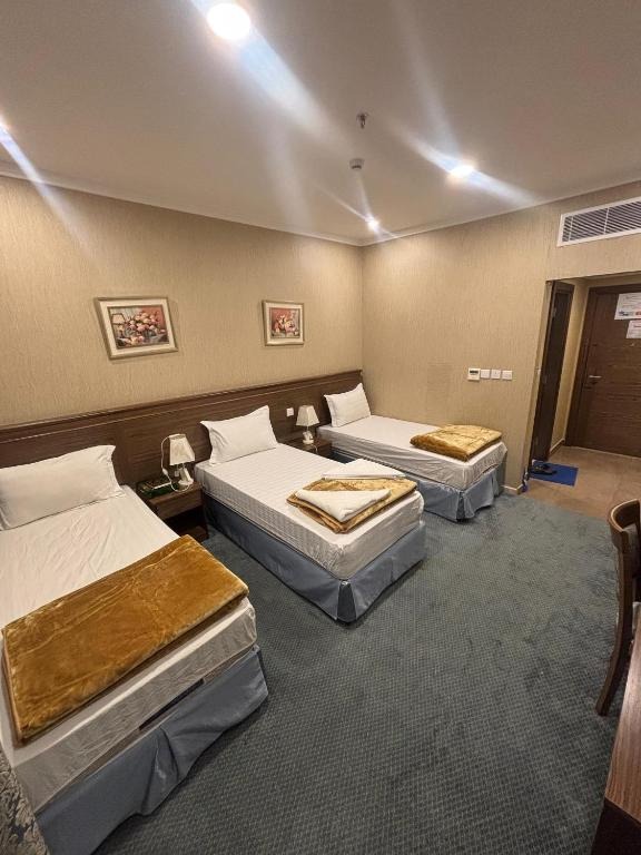 فندق قلعة تاون هاوس 