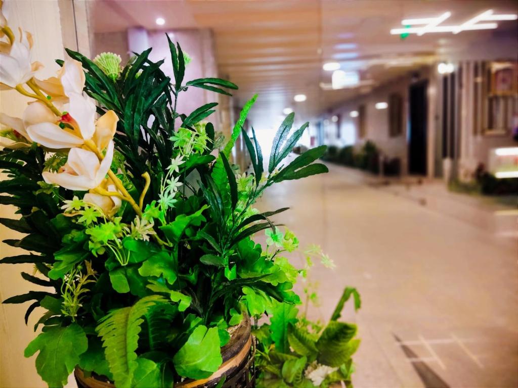 سيلين الزهراء