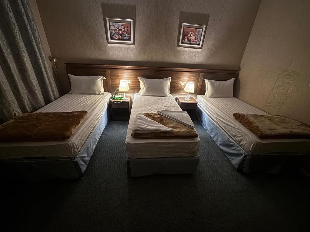 فندق قلعة تاون هاوس 