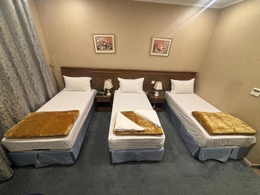 فندق قلعة تاون هاوس 