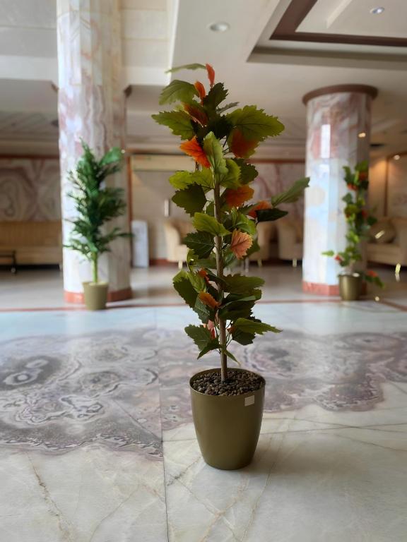 فندق منازل الشروق