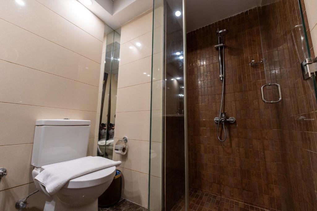 فندق حياة بلازا